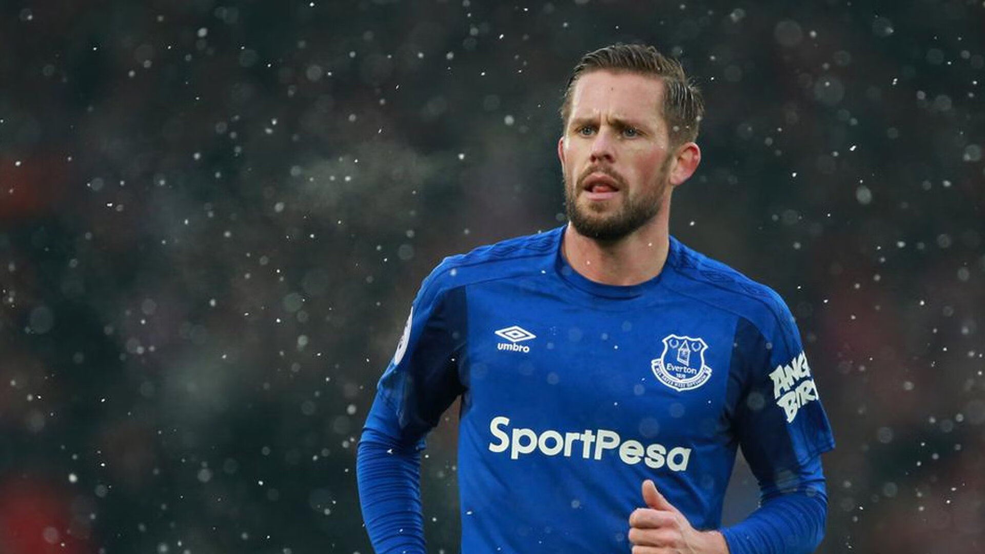 蛰伏与蜕变，黄蜂的逆袭与塔图姆的封神之战