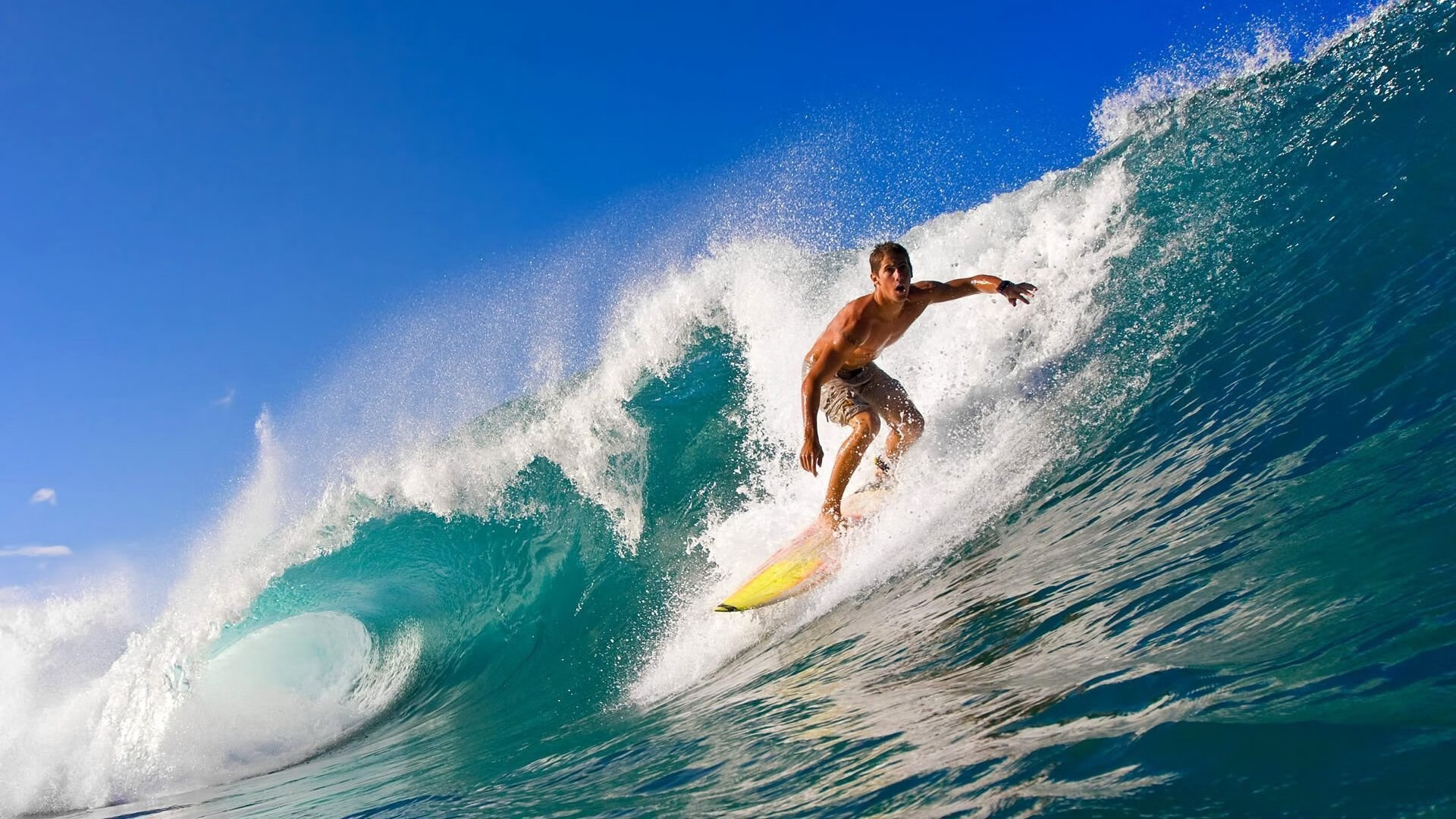 公牛逆转广厦队,西亚卡姆成关键先生,一场跨越文化的篮球对话